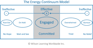 wilson learning the energy continuum model